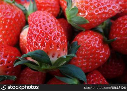Close up of fresh and red strawberries