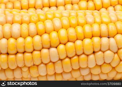 close-up of fresh corns
