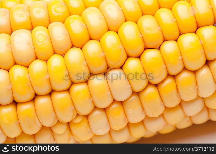 close-up of fresh corns