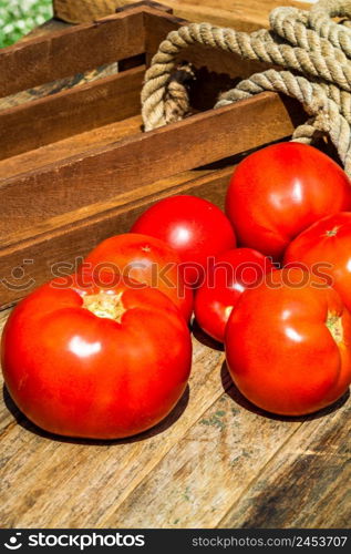 Close up of fresh ripe tomatoes isolated in a rustic composition,