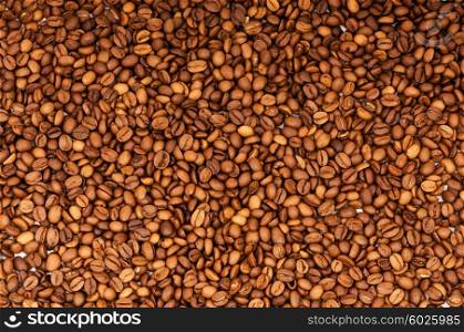 Close up of freshly roasted coffee beans