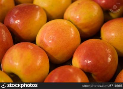 Close up of fruit