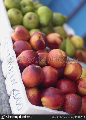 Close-up of fruits in fruit cartons, Providencia, Providencia y Santa Catalina, San Andres y Providencia Department, Colombia