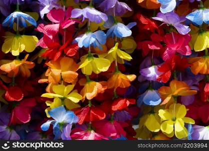Close-up of garlands, Kona, Big Island, Hawaii Islands, USA