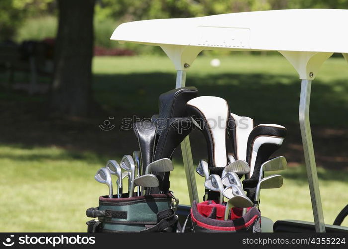 Close-up of golf clubs in golf bags