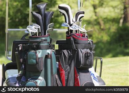 Close-up of golf clubs in golf bags
