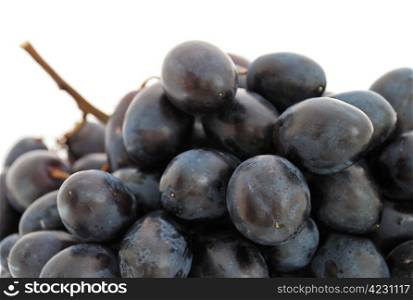 Close-up of grapes isolated on white background. Grapes