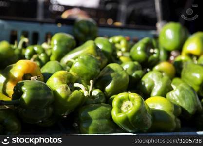 Close-up of green bell peppers