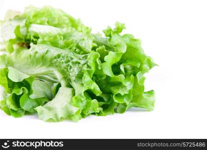 Close-up of Green Lettuce isolated on white