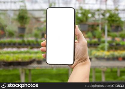 Close-up of hand holding smartphone isolated on nature background with space for your text.