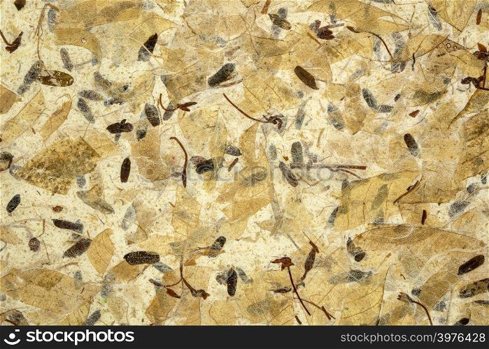 close up of handmade mulberry paper with leaves and petals inclusion
