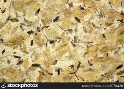 close up of handmade mulberry paper with leaves and petals inclusion
