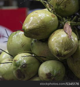 Close-up of heap of coconuts, Koh Samui, Surat Thani Province, Thailand