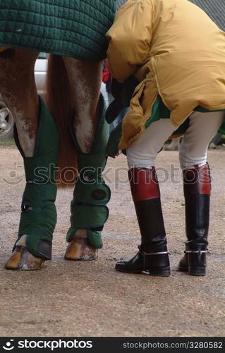 Close up of horses legs.