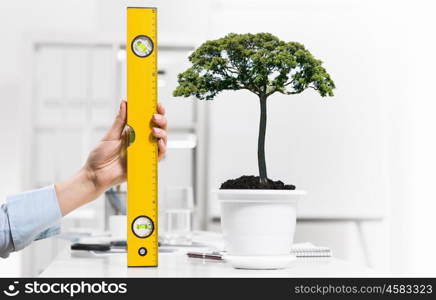 Close up of human hand measuring plant in pot with ruler