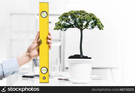 Close up of human hand measuring plant in pot with ruler