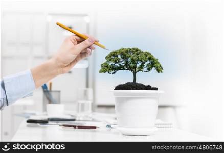 Close up of human hand measuring plant in pot with ruler