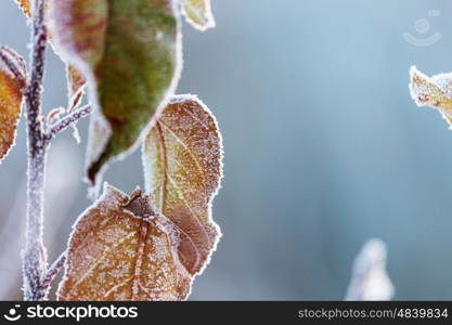 close-up of ice