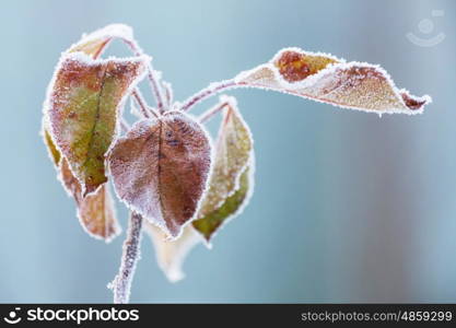 close-up of ice