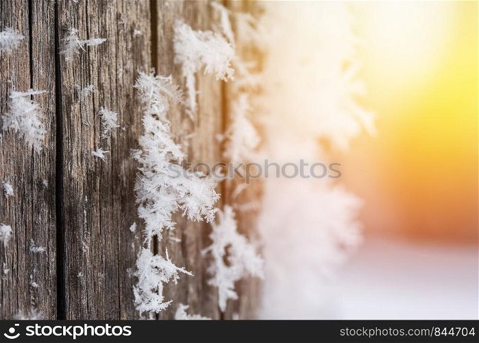 Close up of ice crystal or snowflake on a timber needle
