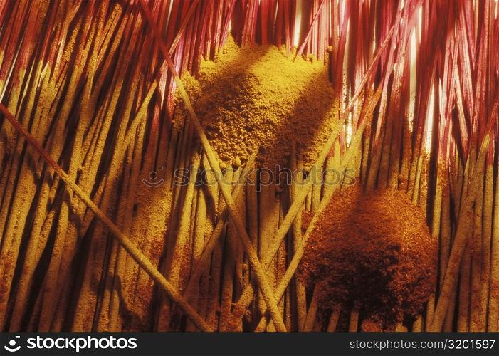 Close-up of incense sticks and powder