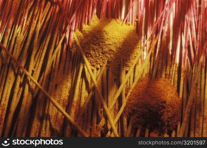 Close-up of incense sticks and powder