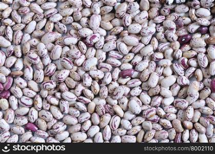 Close-up of kidney beans. From above