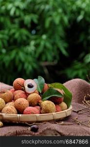 Close up of litchi fruit or lychee fruits, a tropical agriculture product at Luc Ngan, Bac Giang, Vietnam, basket of Vai thieu on green background