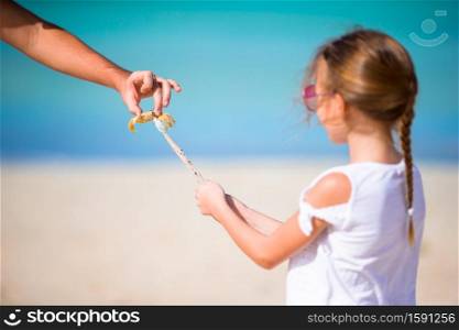 Close up of little girl holding crab on sandy beach on Caribbean. Adorable little girl holding crab on the beach