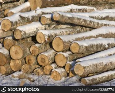 Close up of log&rsquo;s stack in sunny winter day