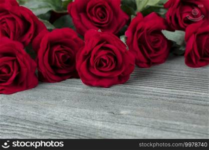 Close up of lovely single red cloth rose among other roses on aged wood