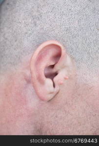 close up of male ear