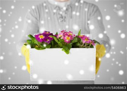 close up of man holding big pot with flowers