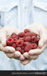 Close Up Of Man Holding Freshly Picked Raspberries