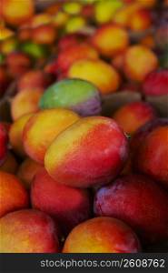 Close-up of mangoes