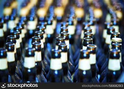 Close up of many bottles of beer. Cold refreshment
