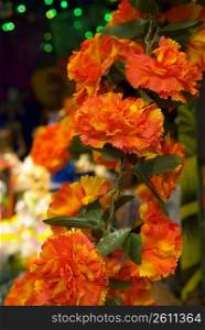 Close-up of marigolds