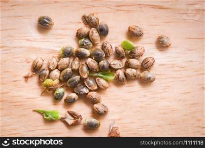 Close up of Marijuana seeds or Hemp Cannabis seeds on wooden background , selective focus