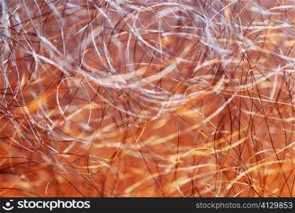 Close-up of meshed wires
