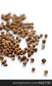 Close up of mystard seeds