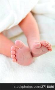 Close-up of newborn baby feet under blanket