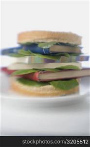 Close-up of note pads between a sandwich on a plate