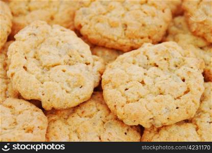 Close-up of oatmeal cookies. Oatmeal cookies