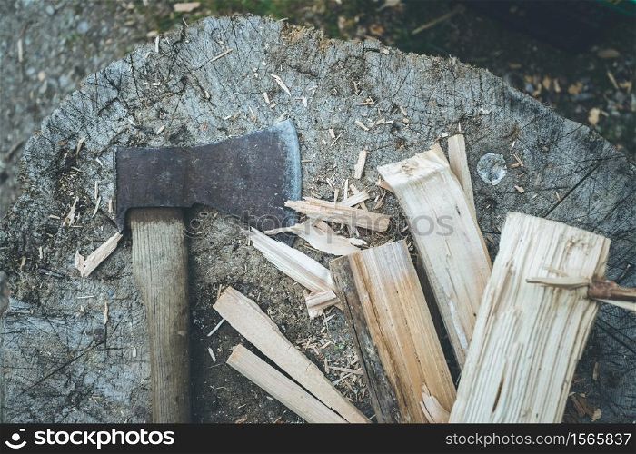 Close up of old axe attached to a tree trunk, countryside