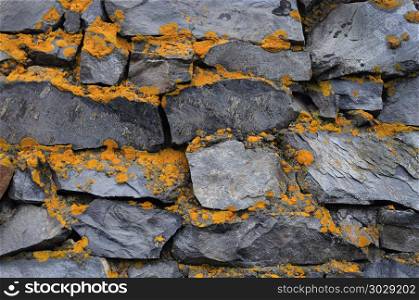 Close up of old rough gray stone wall with yellow lichen. Old rough grey stone wall