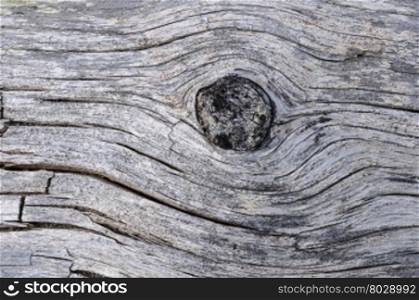 Close up of old weathered log with knot
