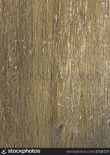 Close up of old weathered wooden surface texture