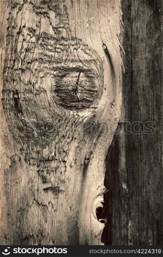 close up of old wood background