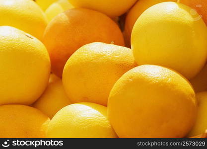 Close-up of oranges, Genoa, Liguria, Italy