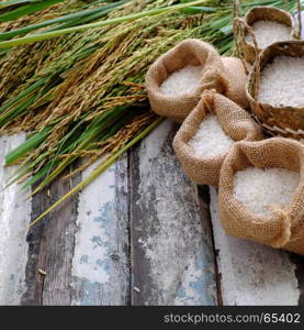 Close up of paddy grain and rice seed on wooden background, sheaf of rice in yellow and basket of grains